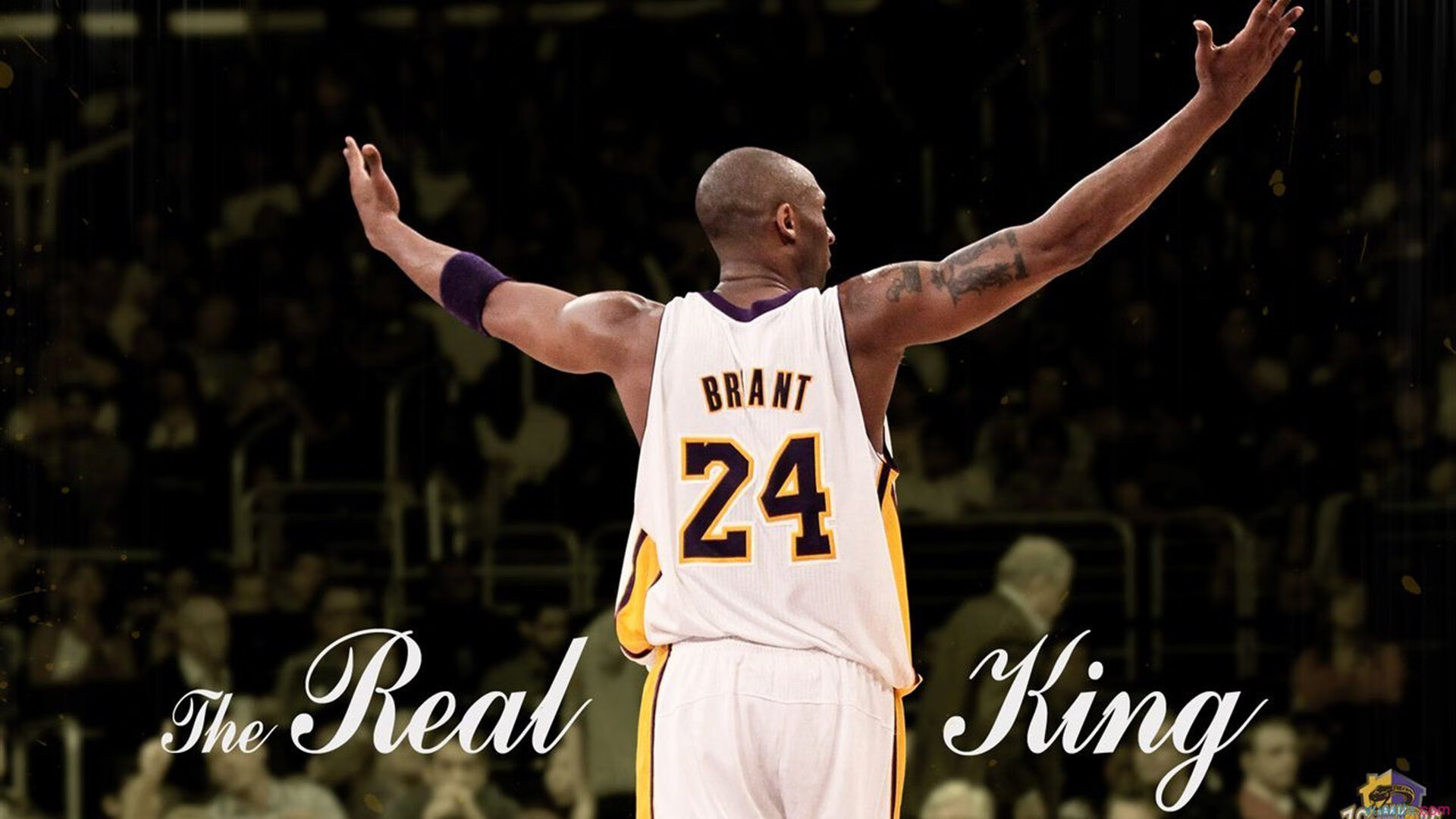 WRC威尔士:泥泞中的勇者挑战极限